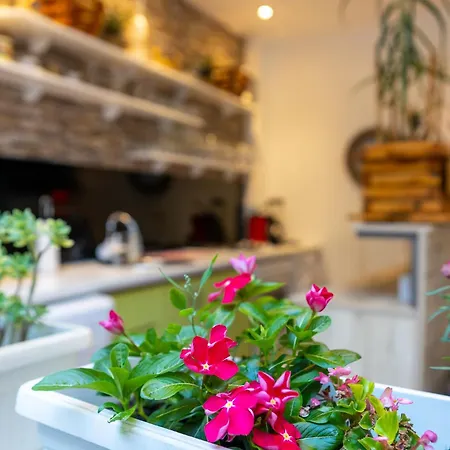 Huzur Apartment *